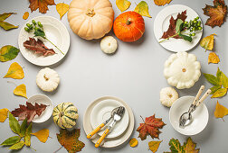 Various colorful pumpkins, autumn leaves and empty plates with cutlery for Thanksgiving