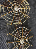 Spider's web made from pretzel sticks and chocolate for Halloween