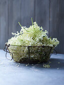 Elderflowers in a metal basket