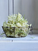 Elderflowers in a metal basket
