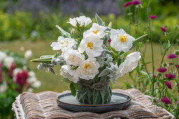 Strauß aus weißer Parkrose (Rosa) 'Semiplena', Samenstände von Schwarzwurzel und Wollziest (Stachys byzantina)