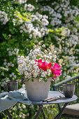 Weiße Büschelrose (Rosa multiflora) und rote Gallicarose (Rosa gallica) 'Scharlachglut' in Blumentopf auf Terrassentisch