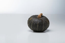 Black Lamp (pumpkin variety from England)