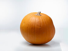 Charmant F1 (pumpkin variety from England)