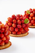 Wild strawberry tartlet