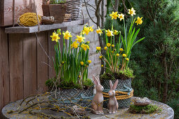 Daffodils 'Tete a Tete' (Narcissus), snowdrops, winter aconites (Eranthis) in pots, rabbit figurines and eggs in the nest on the patio