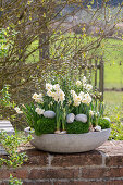 Narzissen 'Bridal Crown' (Narcissus) und Irisches Moos (Sagina Subulata) in Blumenschale mit Eiern auf der Terrasse