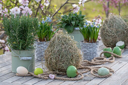 Grape hyacinth 'Mountain Lady' (Muscari), rosemary and sage in pots and hay with Easter eggs in front of flowering branches
