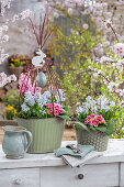 Hyazinthen (Hyacinthus), Kegelblume (Puschkinia), und Primeln (Primula) in Töpfen mit Osterdeko auf der Terrasse