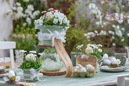 Horned violets (Viola Cornuta) and daisies (Bellis) in pots with Easter eggs and feathers on an Easter table setting