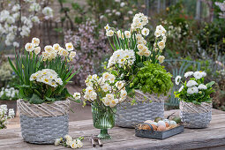 Naturally colored Easter eggs on a metal tray, Easter nest, daffodil 'Bridal Crown', feverfew 'Aureum', daisies and primroses in pots on patio table