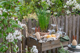 Chives in pot with Easter eggs, crockery and blanket in picnic box hanging on garden fence in front of rock pear