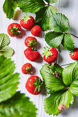 Erdbeeren und Erdbeerblätter