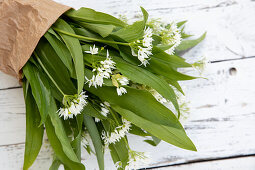 A bunch of wild garlic with flowers