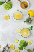 Ingwer-Zitronen-Heißgetränk mit Honig