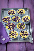 Mini cheesecakes with blueberries