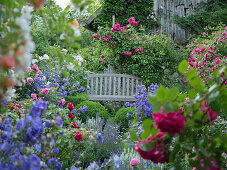 Flowering bed with roses and perennials in front of a wooden bench