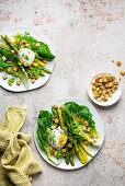 Lauwarmer Spargelsalat mit pochiertem Ei und Croûtons