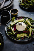 Salad with cucumber, young lettuce leaves and burrata