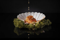 Scallop fried in butter, served in the shell on a bed of moss