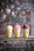 Neopolitan ice cream - vanilla, strawberry, chocolate