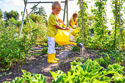 Boy and mother watering vegetable patches