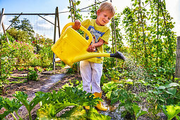 Junge gießt Gemüsebeete
