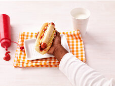 Hot Dog mit Käse