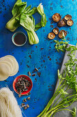 Chinese ingredients - pak choy, shiitake, daikon, glass noodles, soya sauce