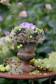 Spätsommerdeko im Pflanzpokal Spätsommerstrauß mit Hortensien (Hydrangea), Sedum, Beeren und Zieräpfel auf Gartentisch