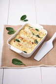 Baked cannelloni with herbs and cheese
