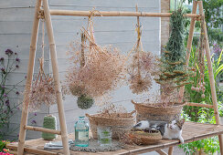 Yarrow flowers (Achillea), ornamental leeks (Allium) and poppy capsules drying