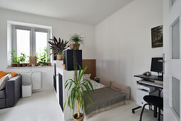 Bright living room, sleeping area and study with indoor plants