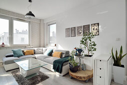 Bright living room with corner sofa, wall art and indoor plants