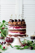 Chocolate cherry cake in naked cake style