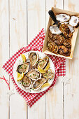 Oysters with lemon slices and herbs
