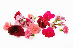 Essbare rote und pinkfarbene Blüten