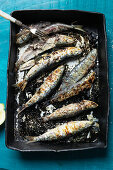 Grilled sardines