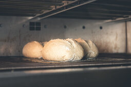 Hausgemachte Brote im Ofen