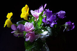 Composizione di fiorellini, viole del pensiero e azalee in un vaso di vetrocon fogliame.