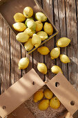 Lemons in boxes