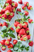 Fresh strawberries in cardboard trays