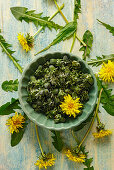 Dandelion buds with flowers