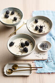 Posset (britisches Dessert) mit Honig, Lavendel und Brombeeren