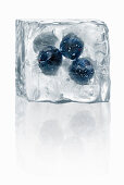 Ice cubes with enclosed blueberries