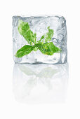 Ice cubes with enclosed mint leaves