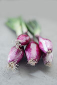 Red spring onions