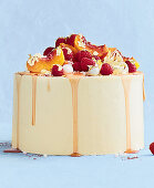 Peach and raspberry Bellini cake