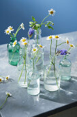 Vials with spring flowers