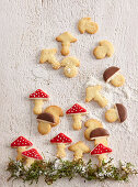 Coconut mushroom cookies with icing and chocolate